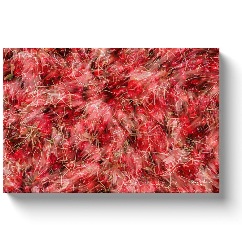 a riot of red fruit