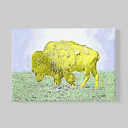 yellow bison canvas print