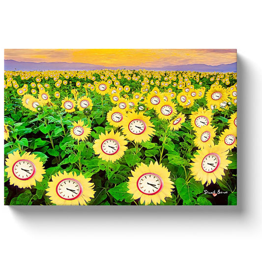 a field of clock sunflowers