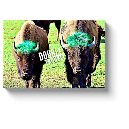 american bison art two bison double trouble canvas print