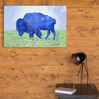 blue american buffalo